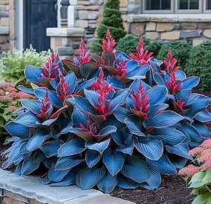 Хоста Грин Фог купить по цене от 669р. в интернет-магазине «Посадика» с доставкой почтой в в Усть-Катаве и по всей России – [изображение №1].