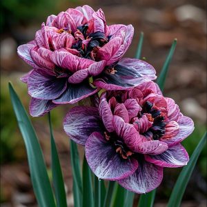 Нарцисс Моргатн Мотив купить по цене от 2000р. в интернет-магазине «Посадика» с доставкой почтой в в Усть-Катаве и по всей России – [изображение №1].