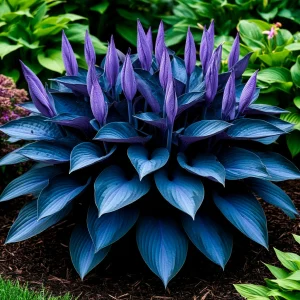 Хоста Сикрет Гров купить по цене от 570р. в интернет-магазине «Посадика» с доставкой почтой в в Усть-Катаве и по всей России – [изображение №1].