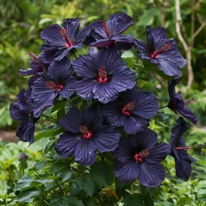 Гибискус Мэджик Момент купить по цене от 699р. в интернет-магазине «Посадика» с доставкой почтой в в Усть-Катаве и по всей России – [изображение №1].